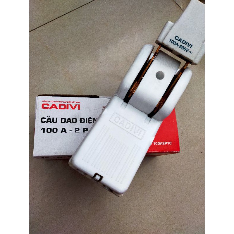 Cầu dao điện cadivi 100A 2 pha