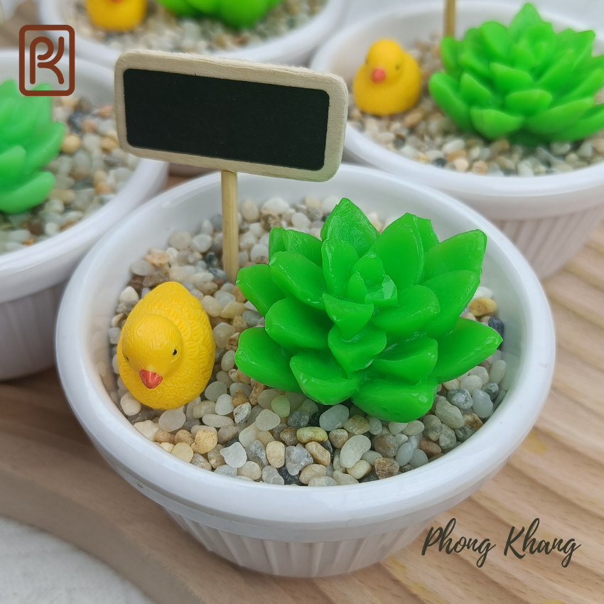 Khuôn silicon 4d Phong Khang làm rau câu sen đá