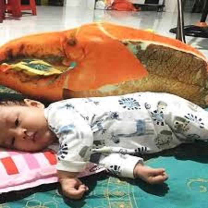 gối ôm hình càng cua kích thước 70cm