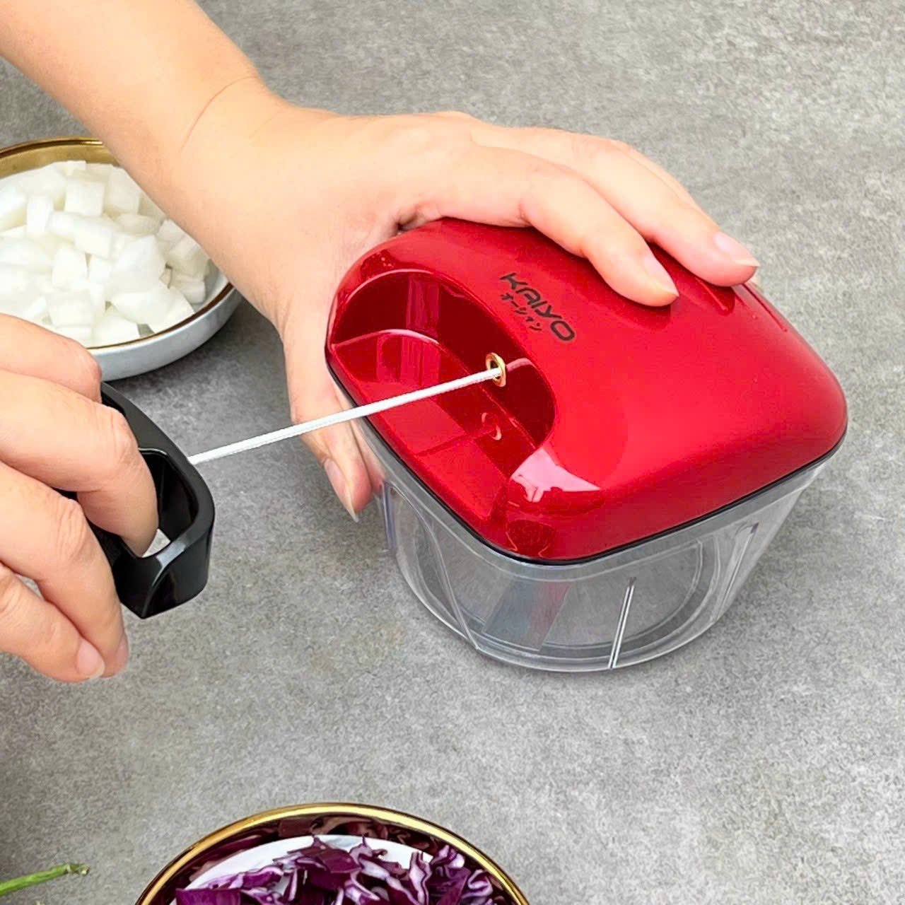 Kaiyo Premium Garlic Chopper Manual Kitchen Tool