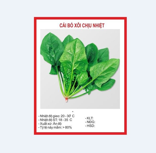 Combo 5 gói hạt giống rau cải ( Cải bó xôi + cải ngọt + cải xanh + cải chíp + cải ngòng )
