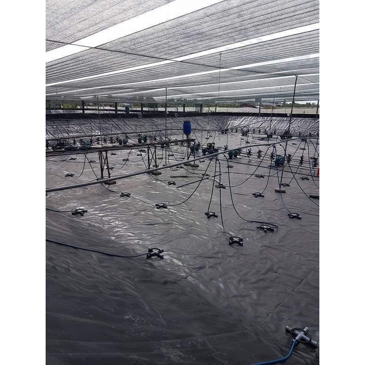 BẠT CHỐNG THẤM HDPE 5mx5m