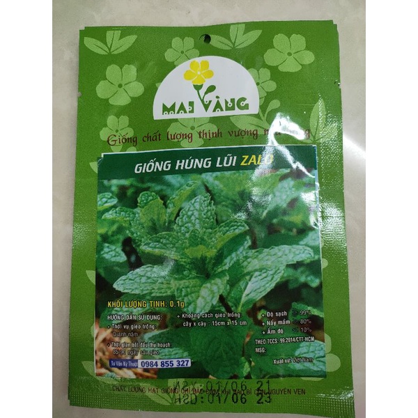 [HCM][gói 0.1g] Hạt giống rau húng lủi