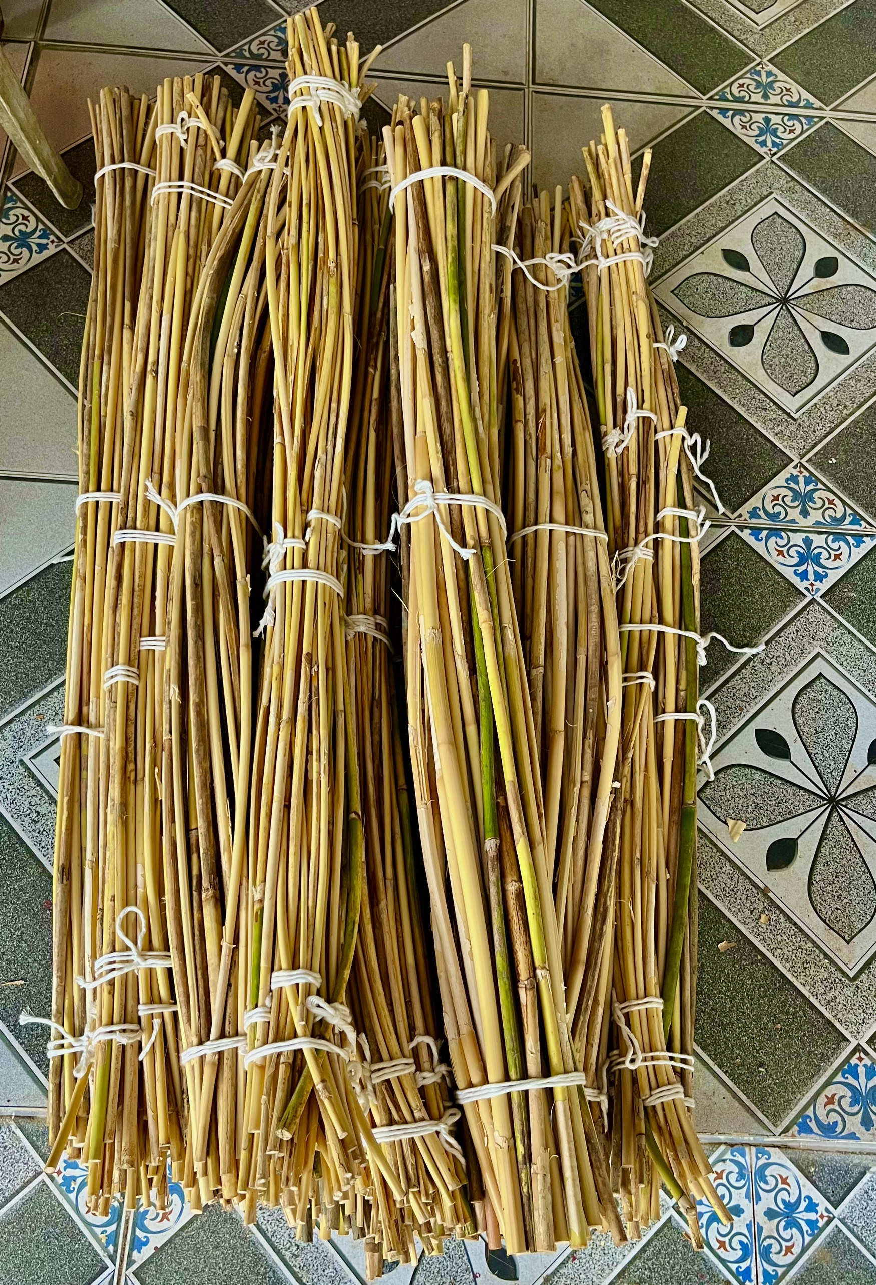 Cây Mây Dẻo Dai - Sử Dụng Để Trang Trí