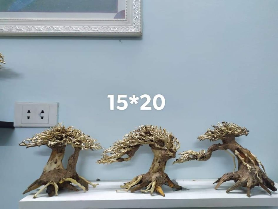 LŨA BONSAI MINI KÍCH THƯỚC 12X15 VÀ 15X20 CHO HỒ THUỶ SINH (Hồ < 40cm)