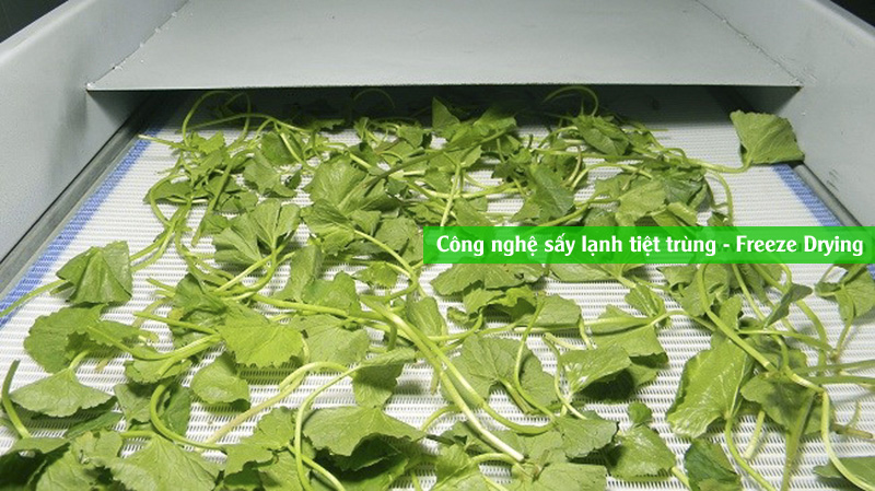 Lọ 50 gr rau sấy cho hamster
