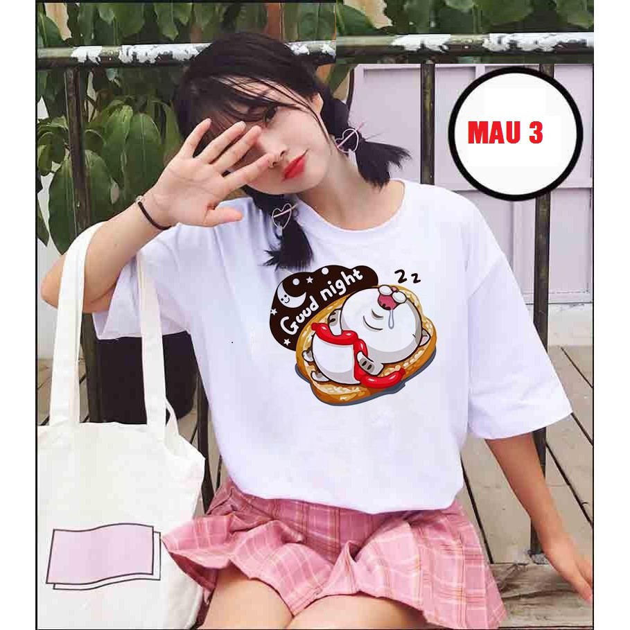 Áo phông mèo Ami bụng bự HARI0520