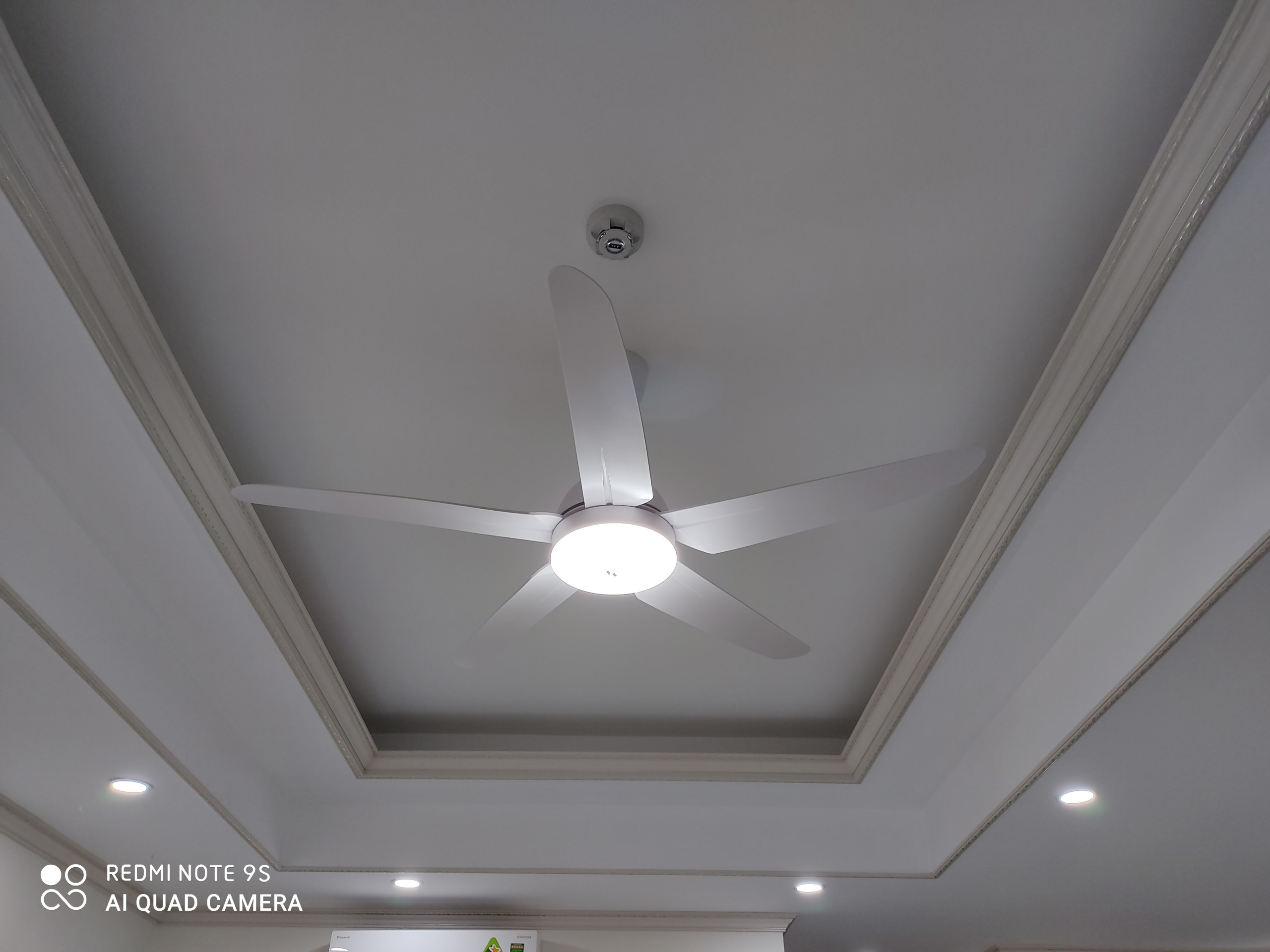 Quạt trần AC 5 cánh ACF02D525