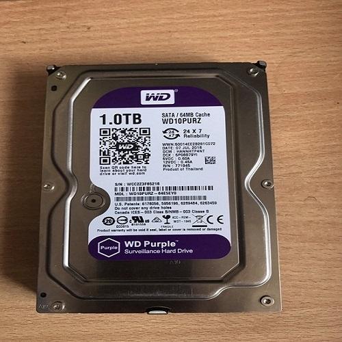 [HCM]Ổ cứng HDD 1TB WD PURPLE chuyên camera