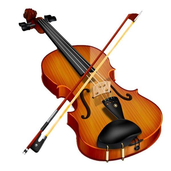 [HCM]Đàn Violin cao cấp Deviser V30 4/4 FULLBOX - Mặt gỗ vân Sam