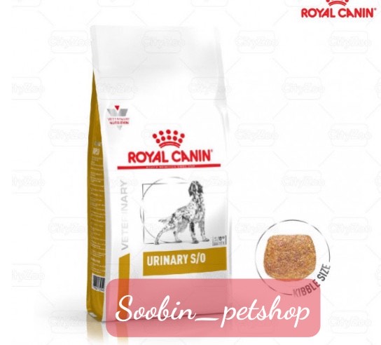Royal canin urinary s/o canine - bệnh sỏi thận ở chó