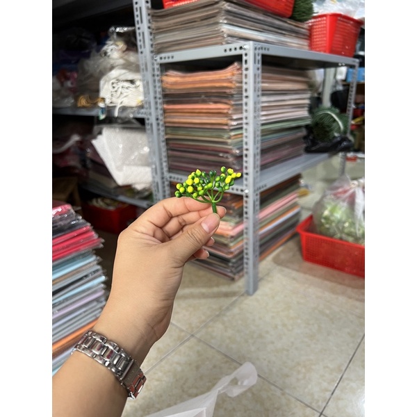 cỏ điểm cụm hạt bi -100gr