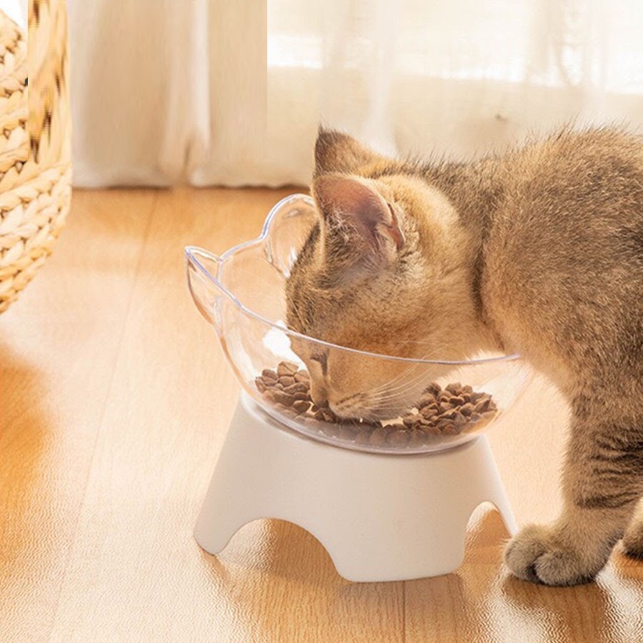 Orgo - BÁT NHỰA NGHIÊNG CHO CHÓ MÈO - CHÉN ĐỰNG THỨC ĂN BÁT CAO CHỐNG GÙ THÚ CƯNG NHỎ