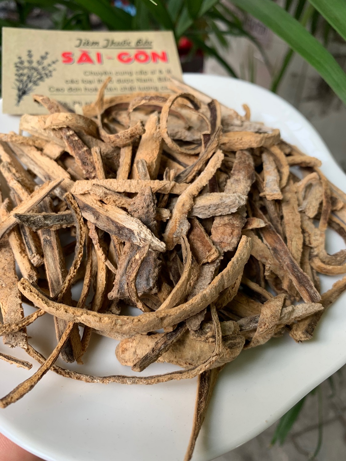 [HCM]BẠCH DƯƠNG BÌ 100GRAM Tiệm Th.uốc Bắc Sài Gòn