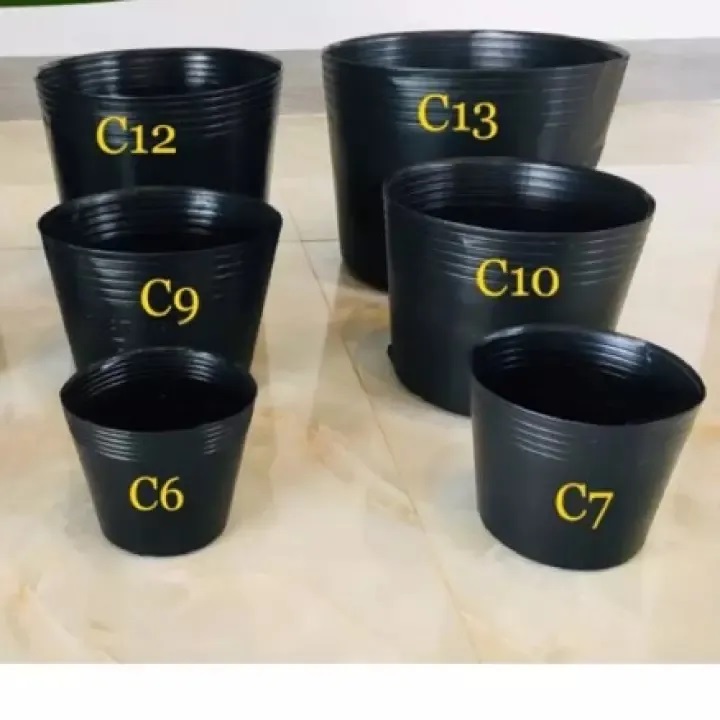 chậu cũ c7