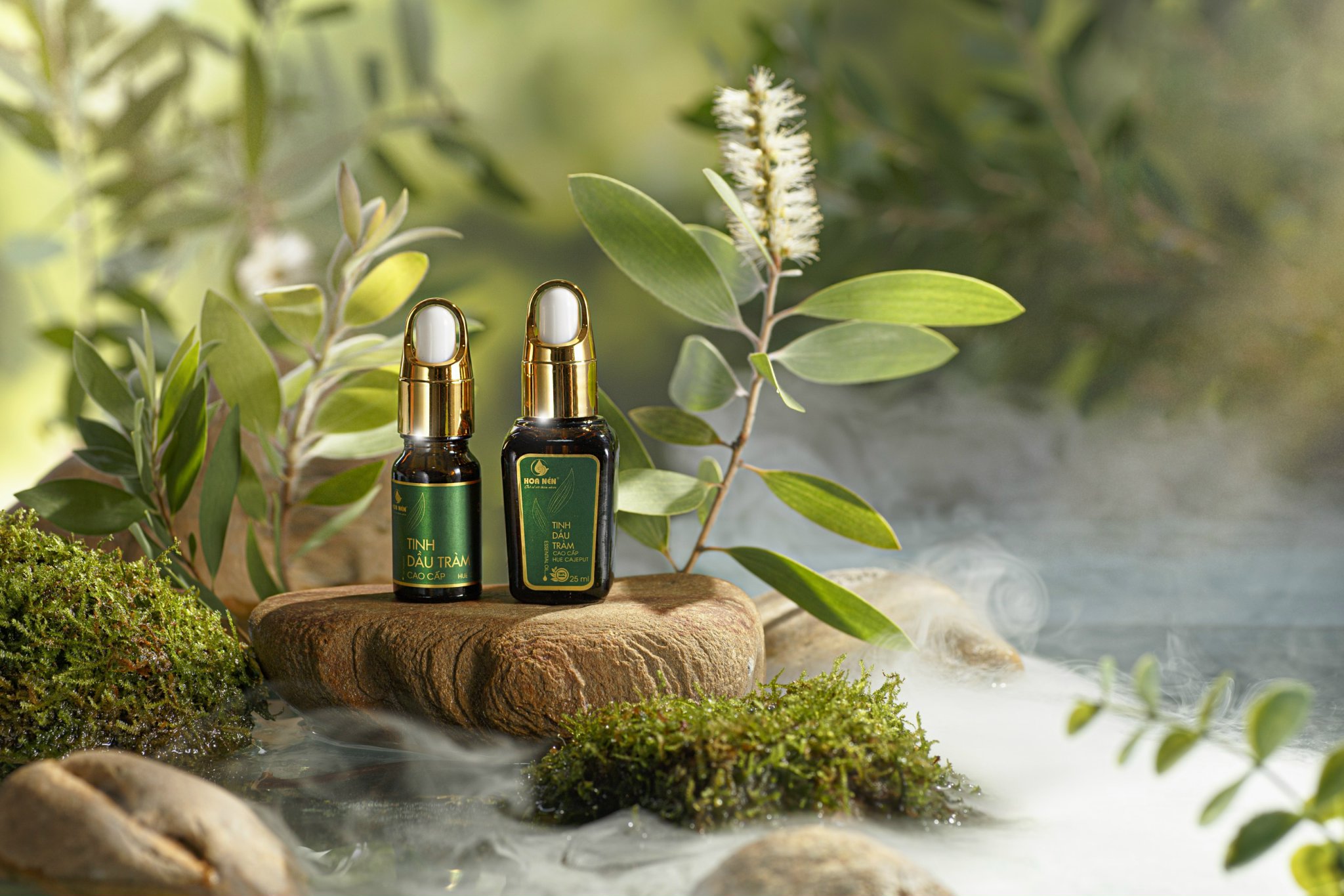 Tinh Dầu Tràm Hoa Nén Loại Cao Cấp 25 ml