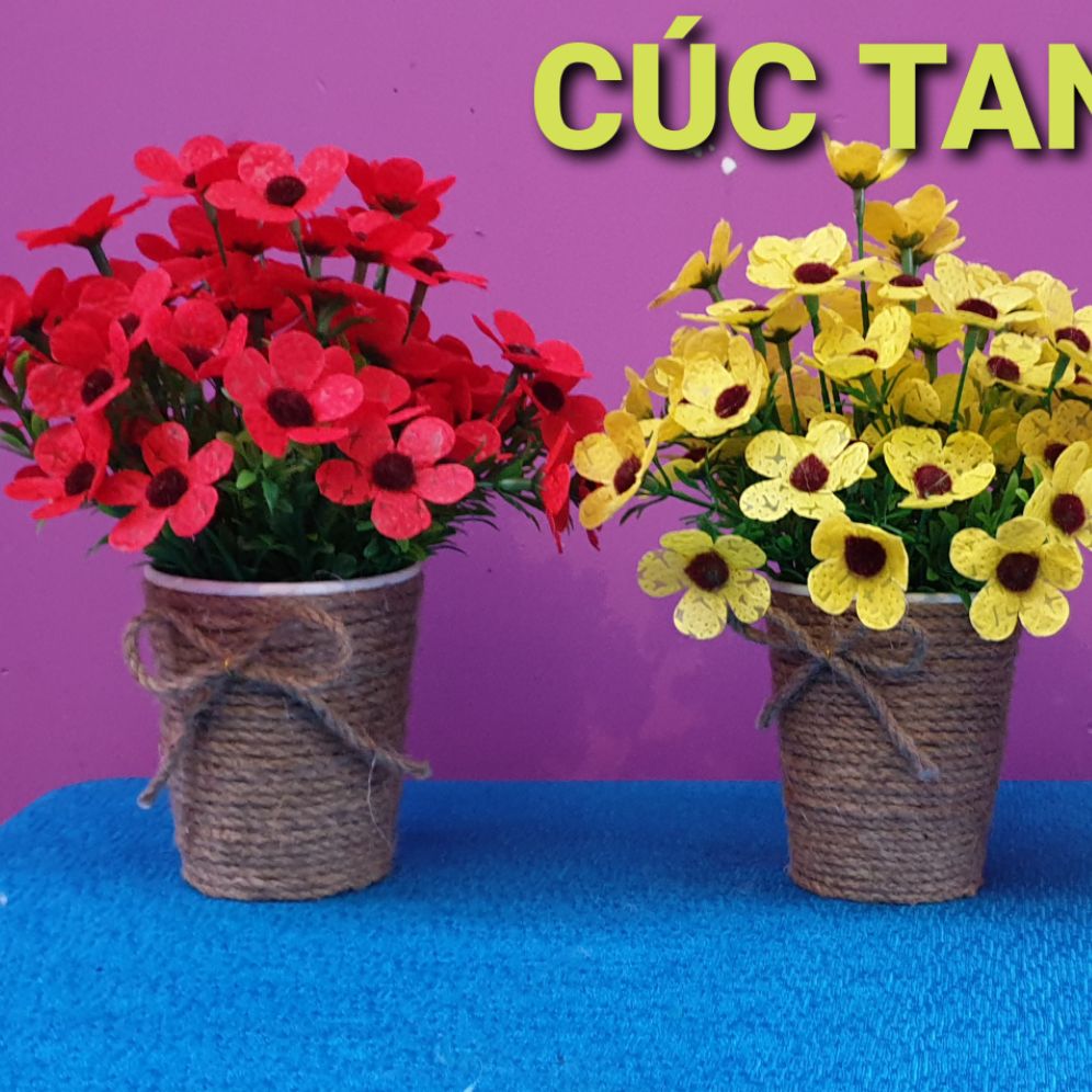 CÚC TANA ( 2 bộ làm hoa cúc 0907519890)