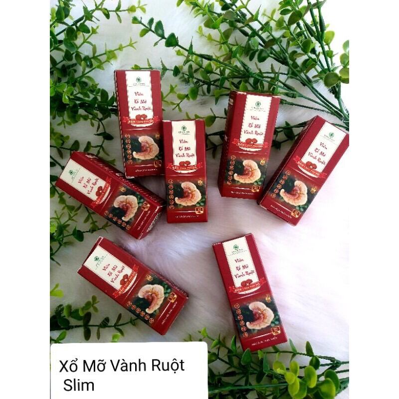 Viên xổ mỡ vành ruột Linh chi đỏ - tặng ( mẫu y hình )