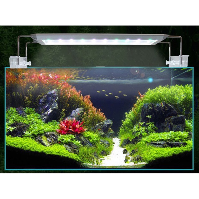 Đèn thủy sinh AQUABLUE RGB DEE-300D