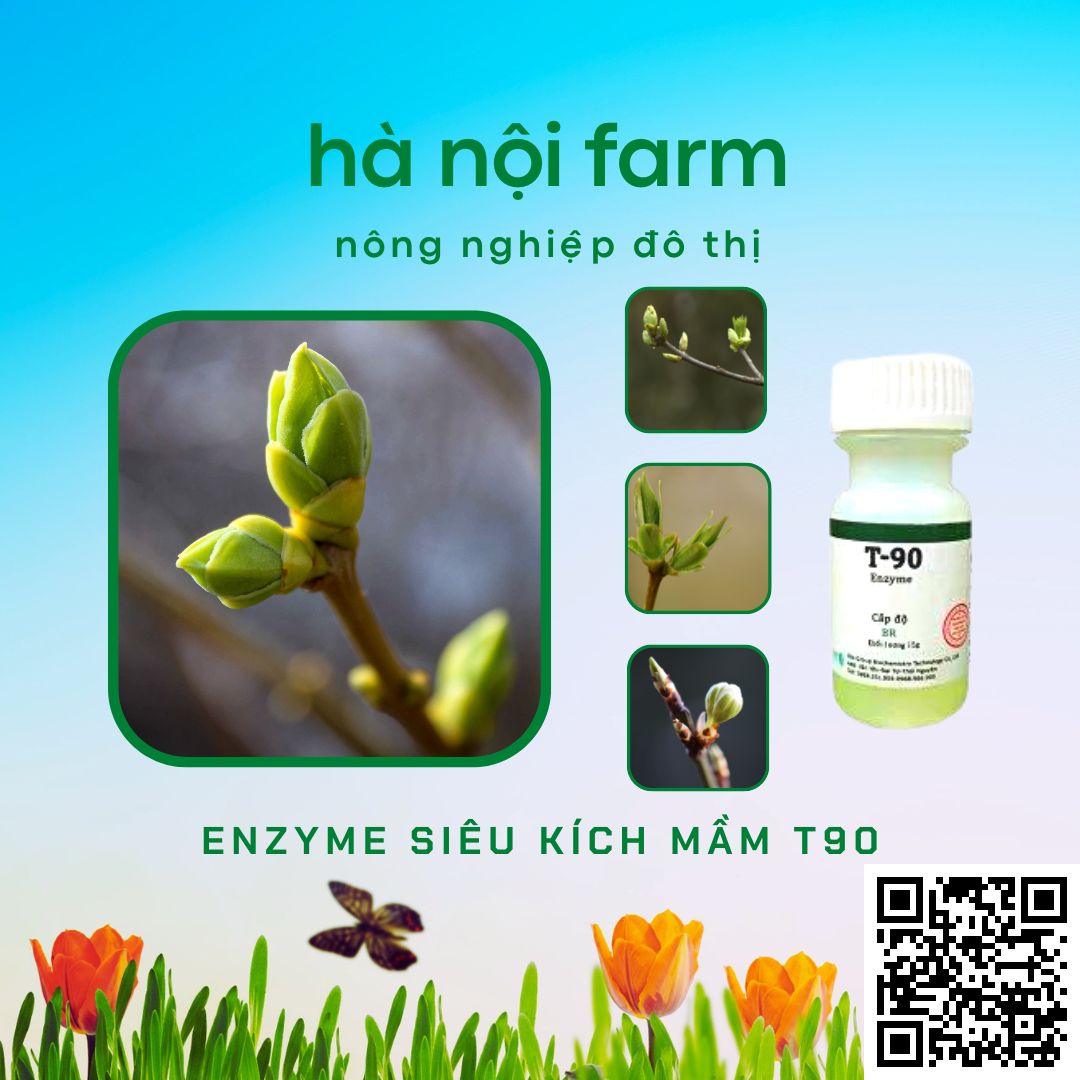 Kích mầm T90 chính hãng, kích mầm theo ý muốn, bật mầm tua tủa, cam kết hiệu quả 100%