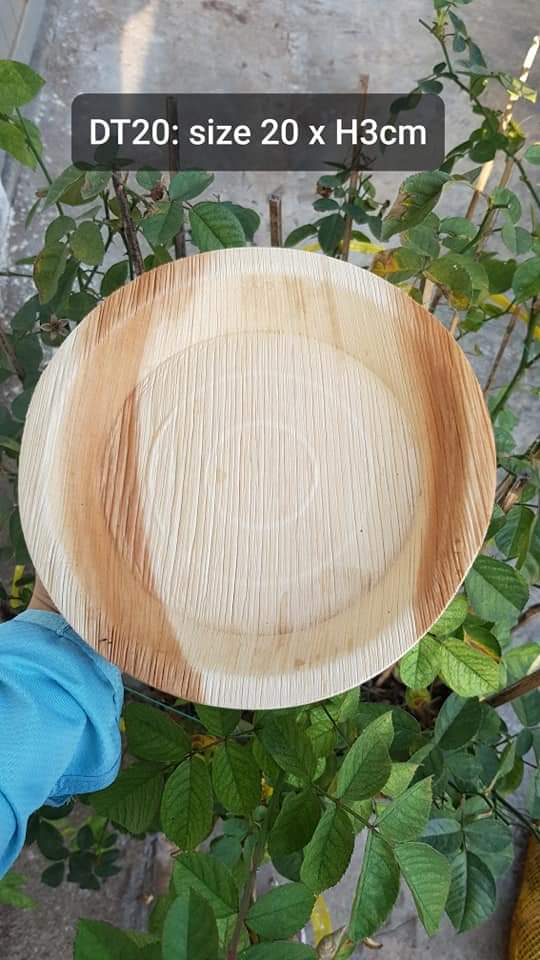 Dĩa tròn mo cau sài 1 lần size 20
