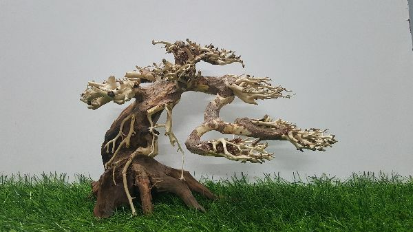 [HCM]Lũa bonsai cấy rêu ( dài23- cao16cm)