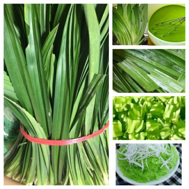 1kg lá nếp thơm tươi sạch nhà trồng