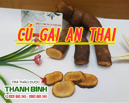 Củ gai an thai 1kg loại 1 hàng chuẩn công ty - đông y thanh bình