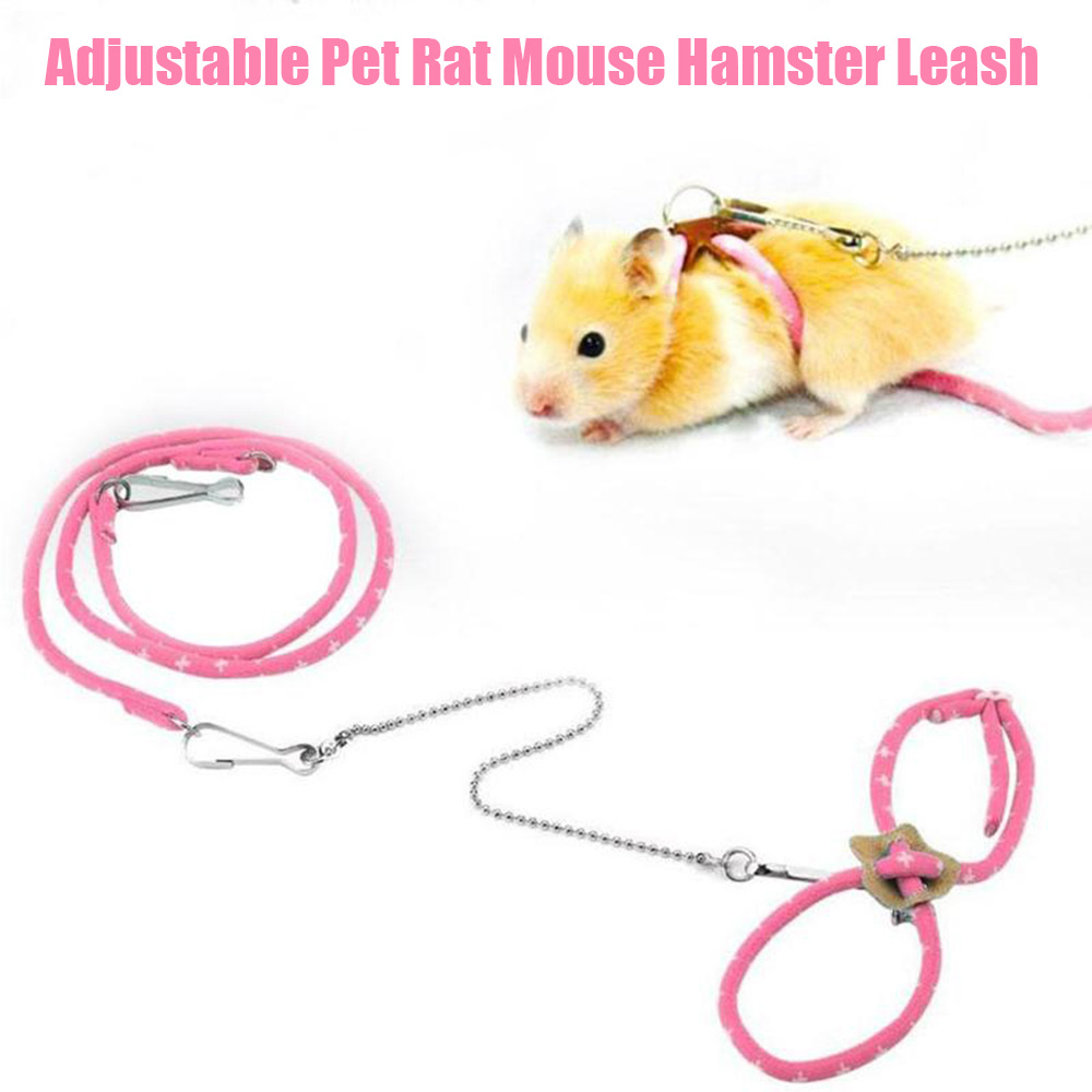 Werw4t Dây Nylon Điều Chỉnh Được Đáng Yêu, Gerbil Ferret Đồ Dùng Cho Thú Cưng Sóc Chuột Chinchilla, Áo Lót Chuột Dây Xích Hamster Dây Dắt Đi Bộ