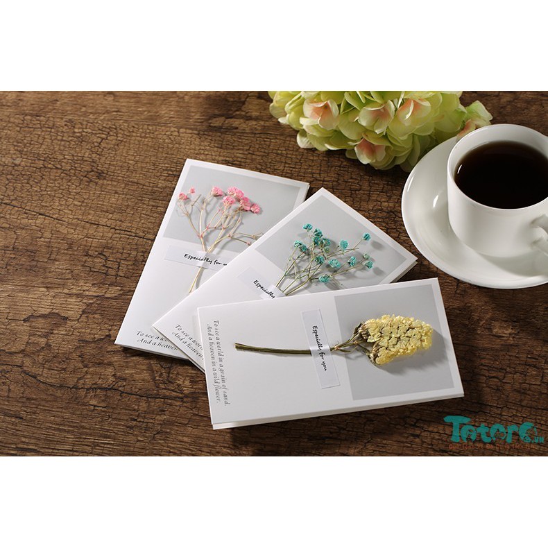 Thiệp basic Hoa Lá Khô - Thiệp vuông basic beautiful everyday