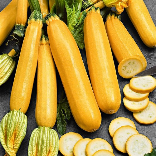 Hạt giống Bí ngòi Vàng quả dài giống khỏe ngắn ngày siêu trái to đẹp VTS14 | Vạn Tín Store