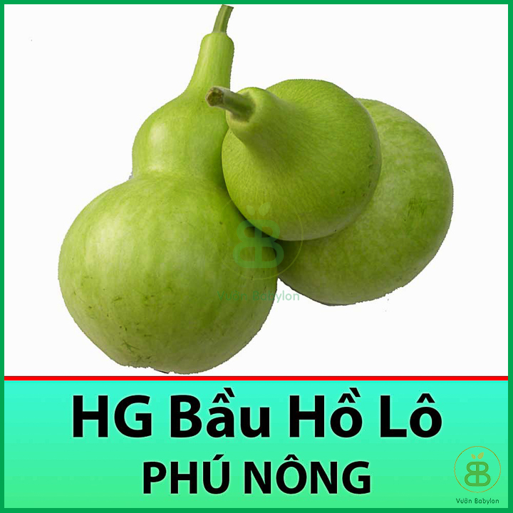 Hạt Giống Bầu Hồ Lô F1 Siêu Trái 1Gr