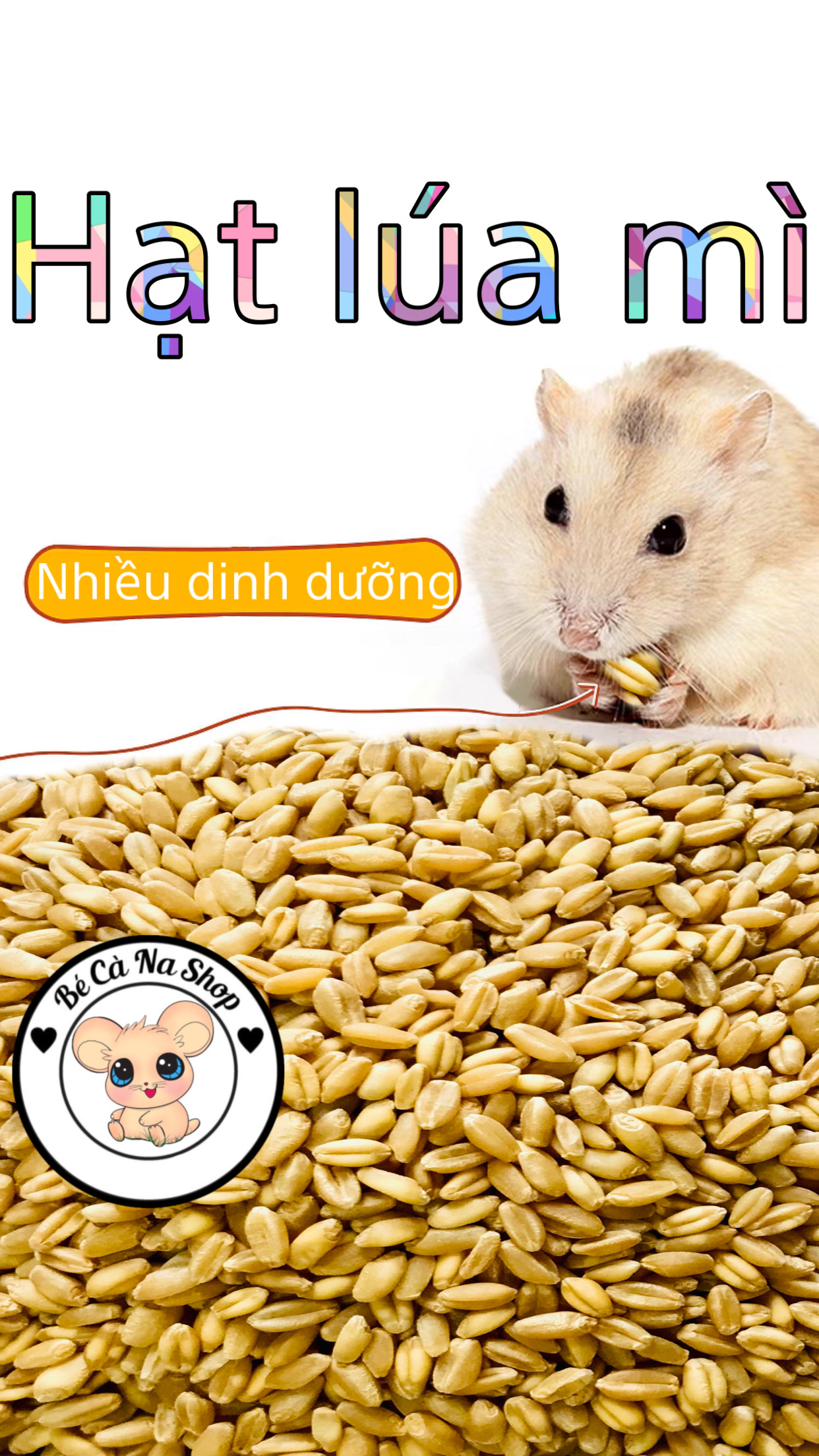 Lúa mì cho hamster (bé cà na) thức ăn cho hamster , thỏ bọ sóc chinchilla...