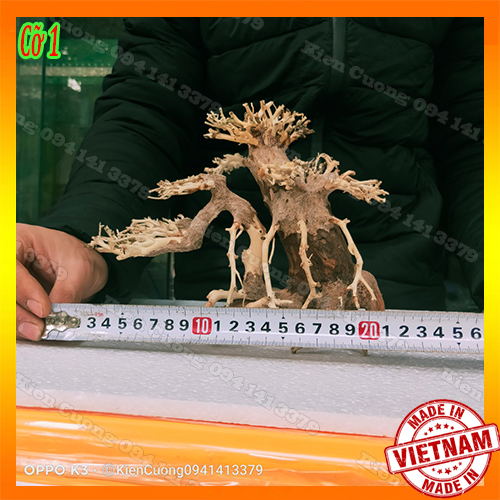 Cây gỗ lũa thủy sinh dùng cho bể cá cảnh, gỗ lúa cao cấp (Mẫu 13)
