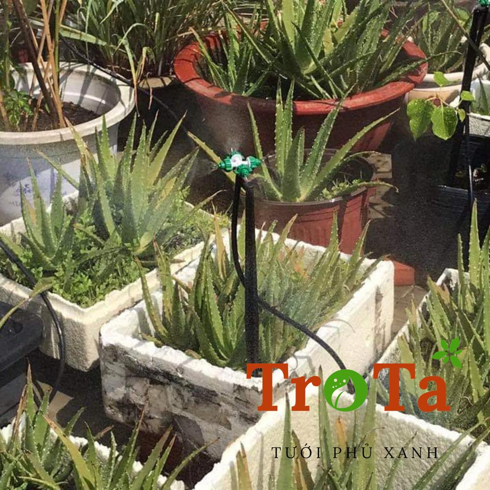 Bộ béc phun sương tưới lan tự động
