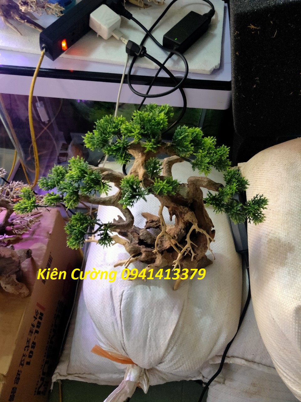 Cây gỗ lũa thủy sinh dùng cho bể cá cảnh, gỗ lúa cao cấp (Mẫu 4)