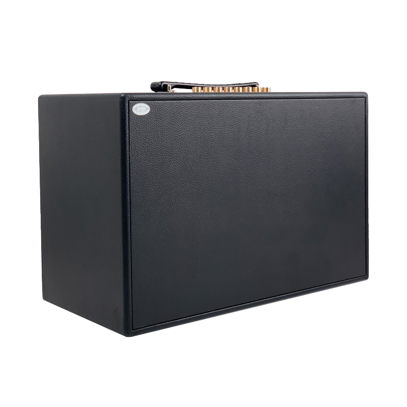 Loa Karaoke di động Acnos CS2501PU