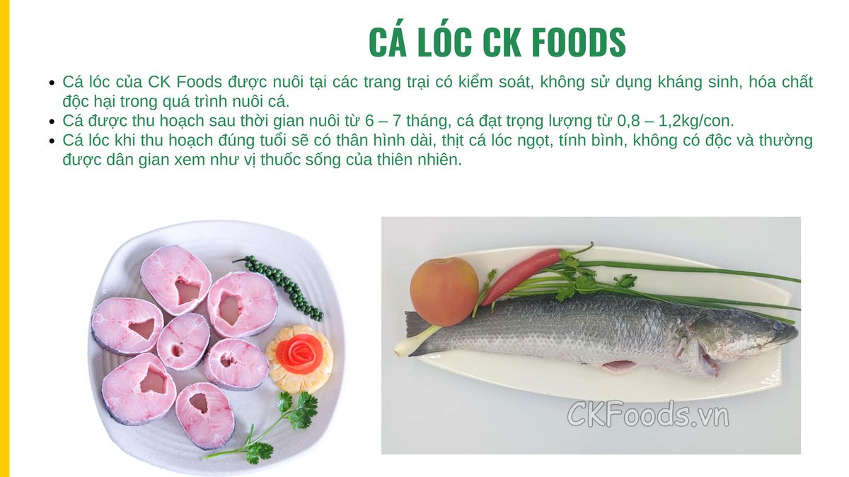 Cá Lóc Cắt Khúc - CKFoods - Túi 400g