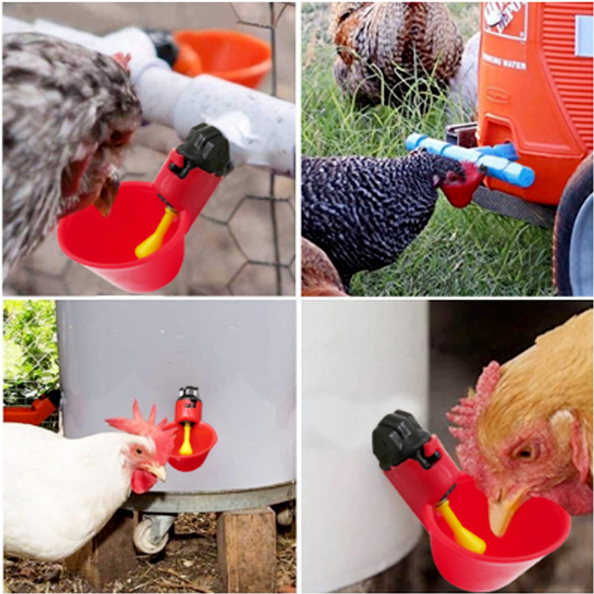 Máng uống tự động cho gà vịt dễ lắp đặt