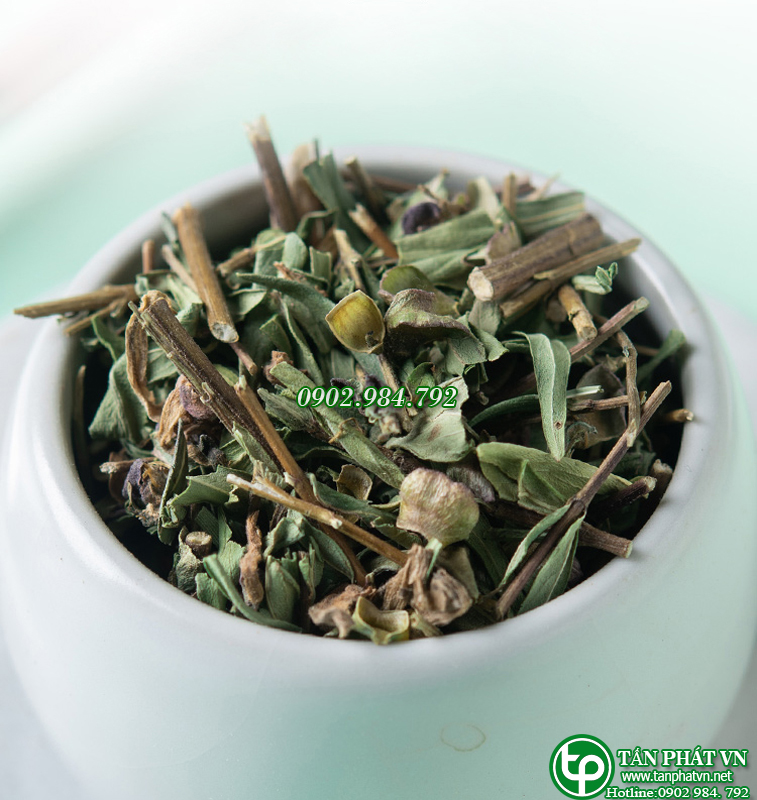 Cây dạ cẩm sấy khô 1kg - Thảo Dược Tấn Phát