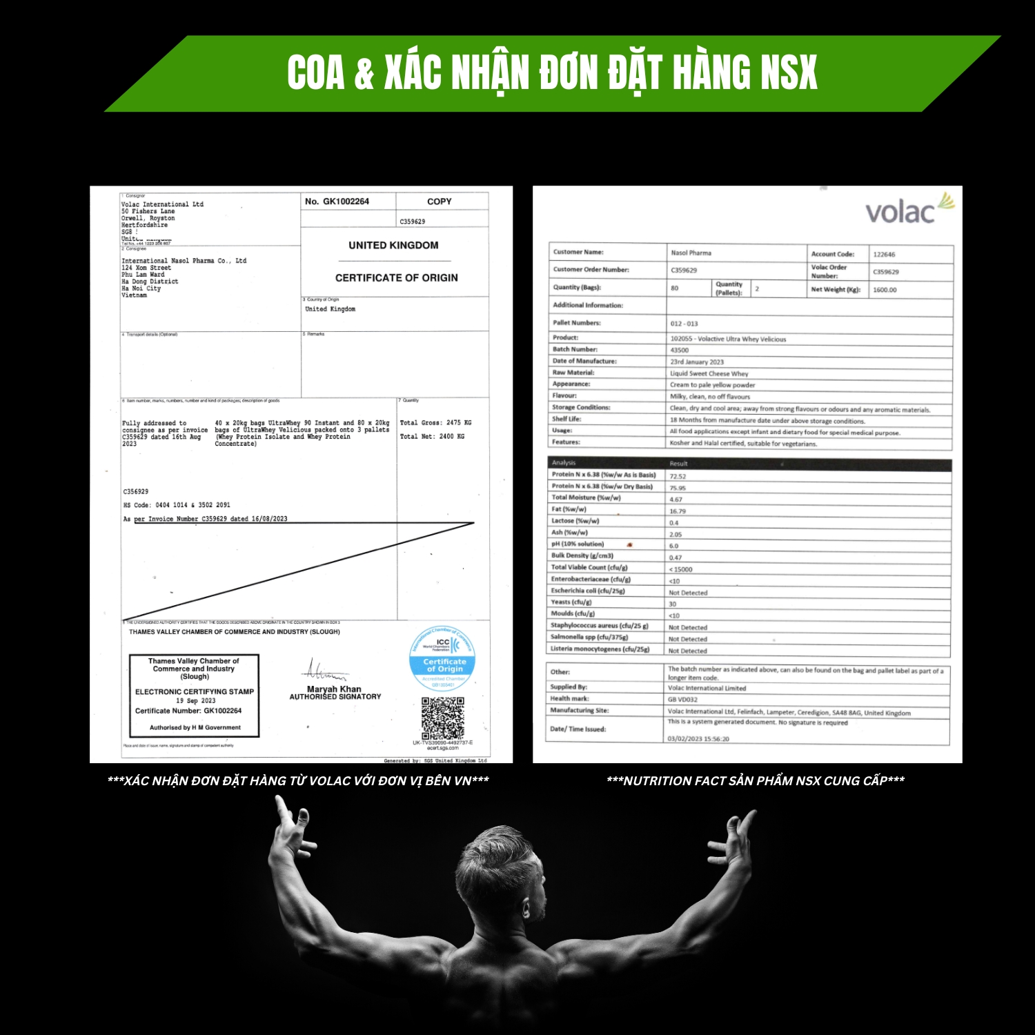 Whey Protein Concentrate VOLAC 80% Protein - Sữa tăng cơ giảm mỡ whey protein isolate