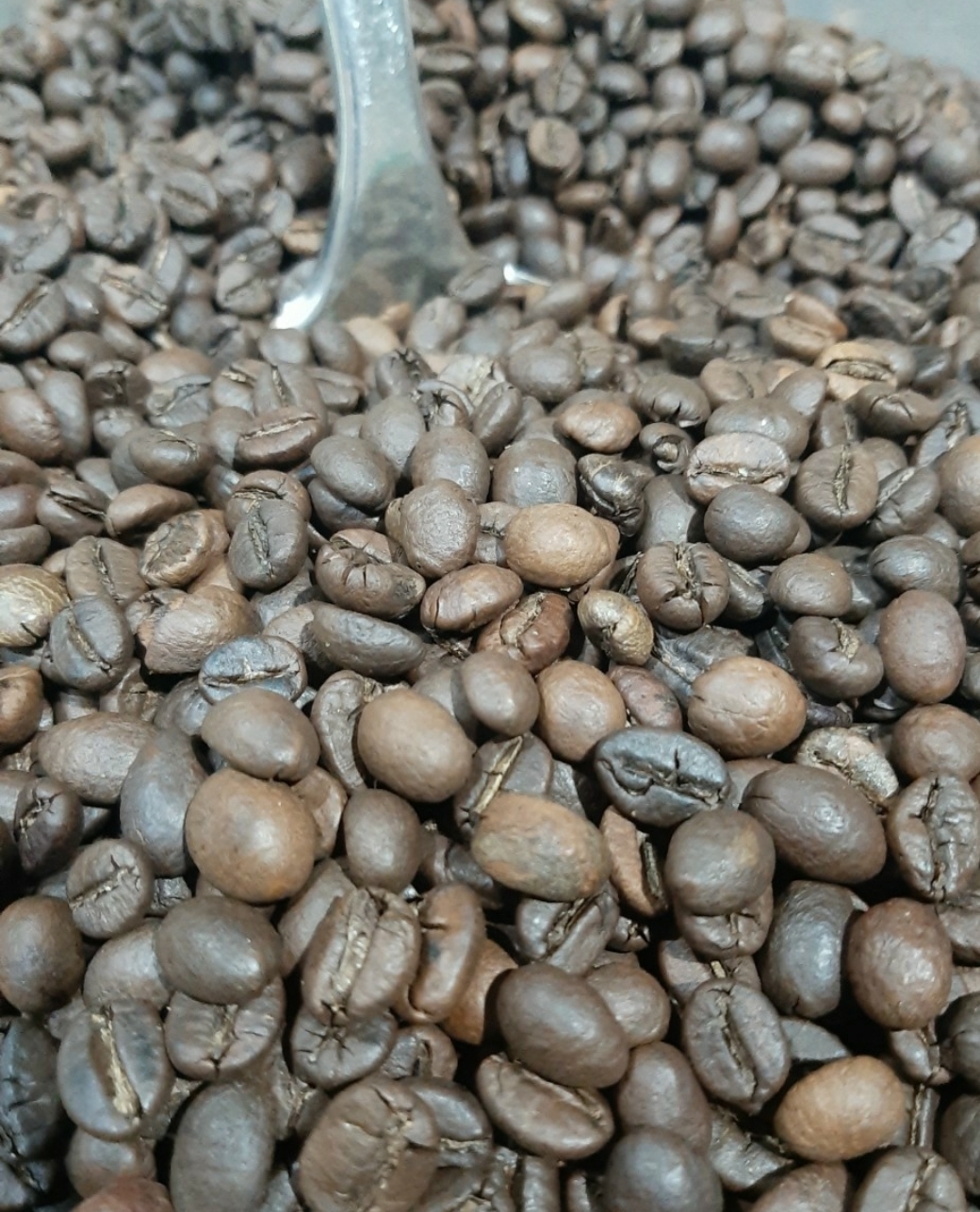 500G CÀ PHÊ ARABICA 100% NGUYÊN CHẤT