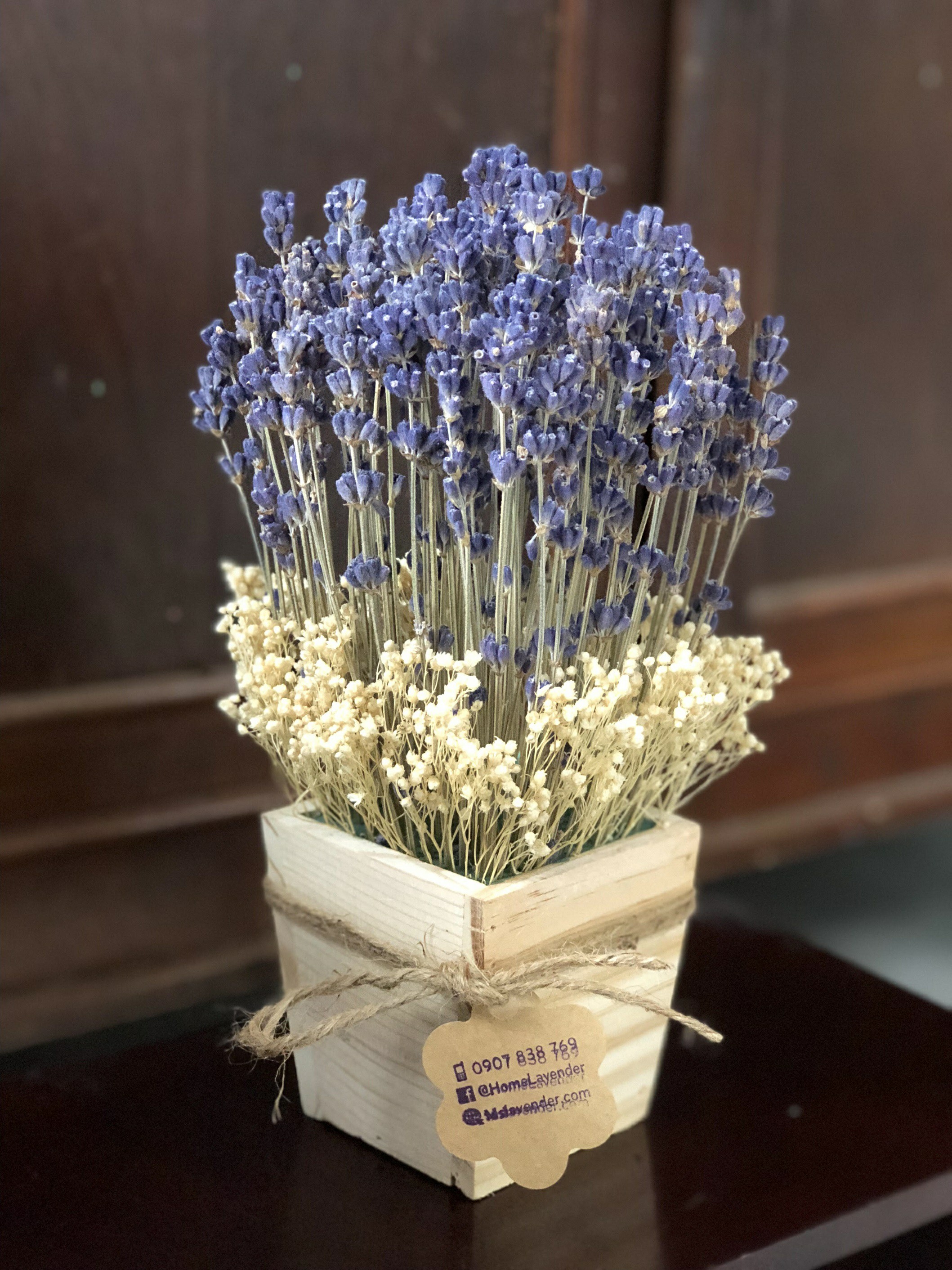 hoa khô - lavender, oải hương thơm ngát