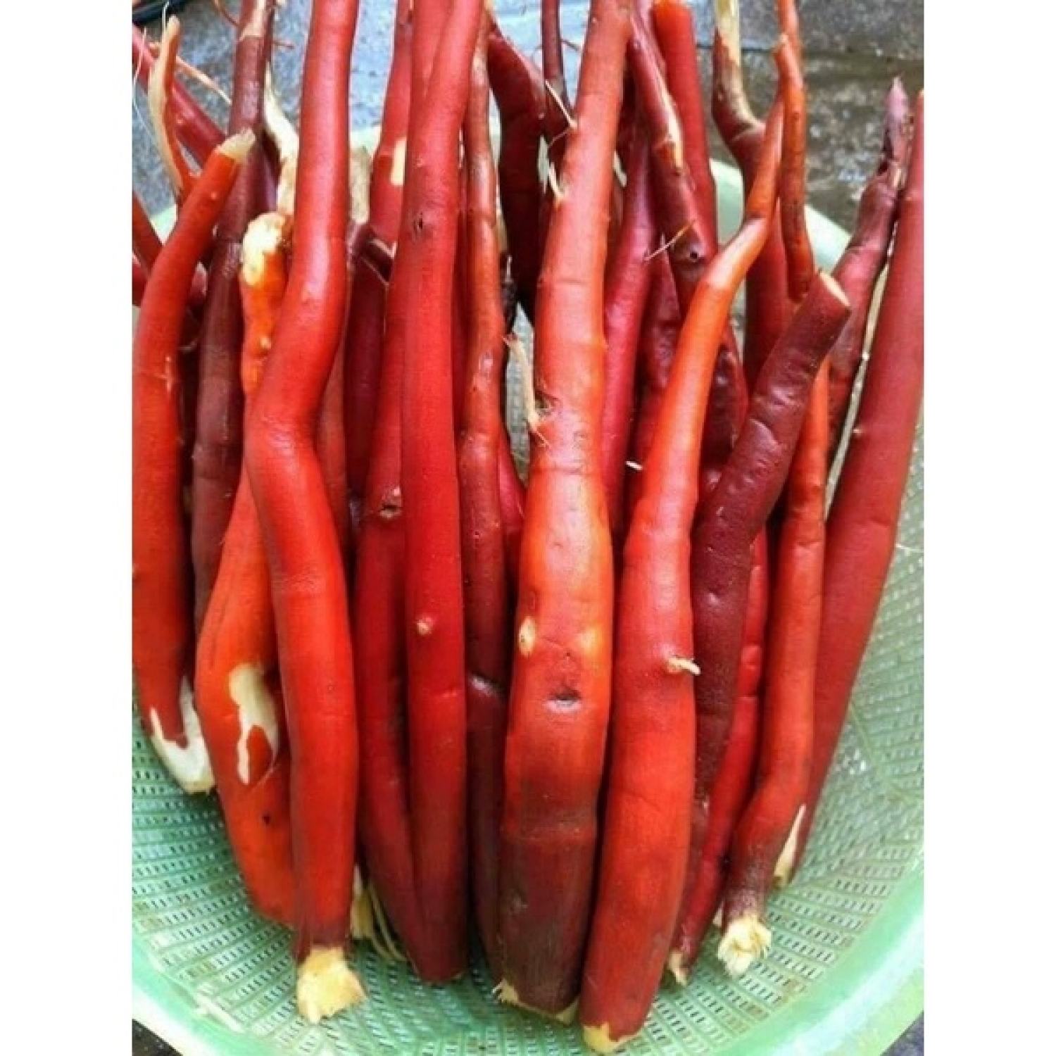 0.5Kg Sâm cau đỏ khô ( Hàng Băm Tay ) Thơm Nức