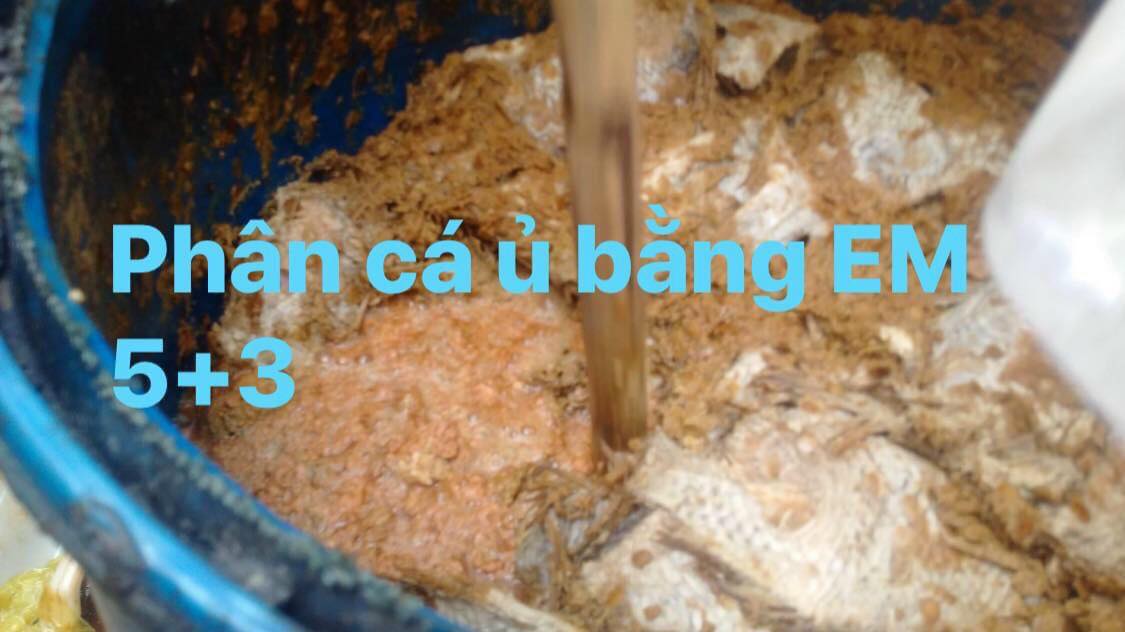 Dịch Đạm Cá Hữu Cơ ACC - BIO ( Can 30 lít)