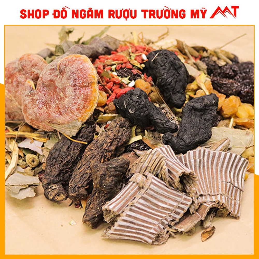 Minh Mang Thang - Complementary kidney Trang Duong - Standard 33