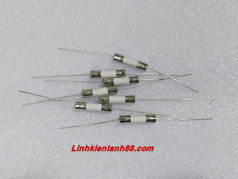 ( 10 cái) Cầu Chì Sứ Chân Cắm 15A 5*20mm Mới