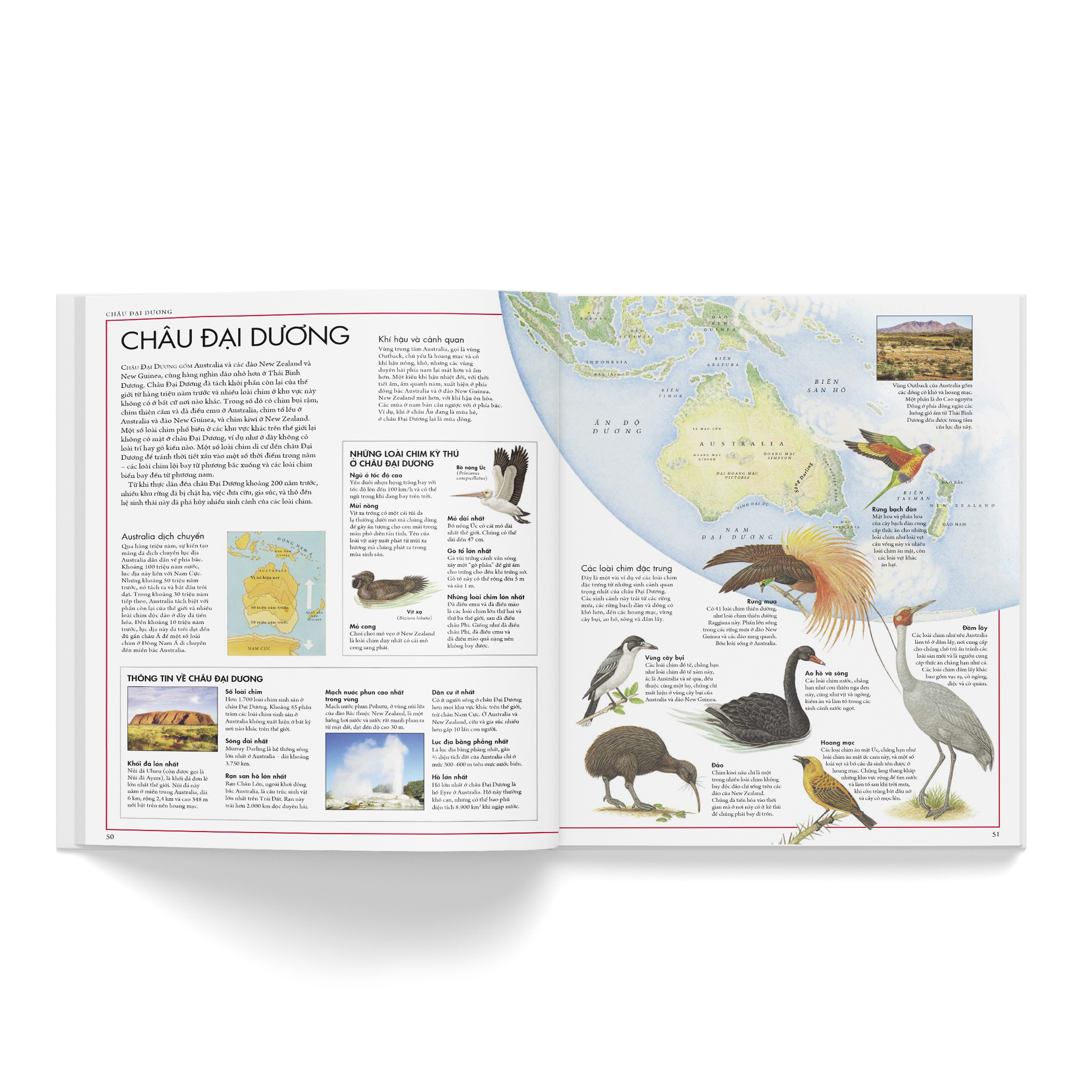 Cá Chép - Atlas các loài chim