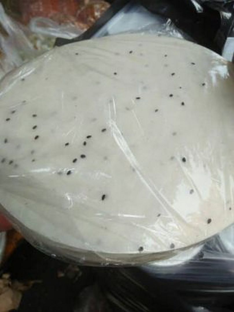 Bánh tráng nướng mè - 100g