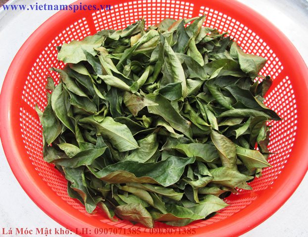 Lá Móc Mật khô 100gram
